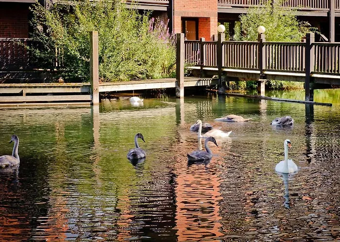 Top Hotels in Winnersh Reading